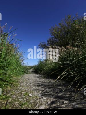 Le coin de la réserve naturelle de Maidenvraig à Aberdeen, en Écosse Banque D'Images