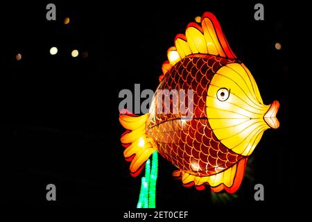 Le Festival des lanternes chinoises au parc de Limanski à Novi Sad. Le point culminant du Festival. Une lanterne de poisson colorée flotte dans l'air. Banque D'Images