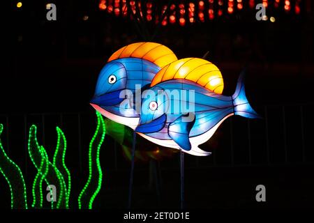 Le Festival des lanternes chinoises au parc de Limanski à Novi Sad. Deux lanternes bleues en forme de poisson avec nageoires dorsales dorées sont fixées sur les bâtonnets. Banque D'Images