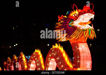 Le Festival des lanternes chinoises au parc de Limanski à Novi Sad. Le dragon chinois avec un corps semblable à un serpent, également connu sous le nom de Loong, long, Lung. Banque D'Images