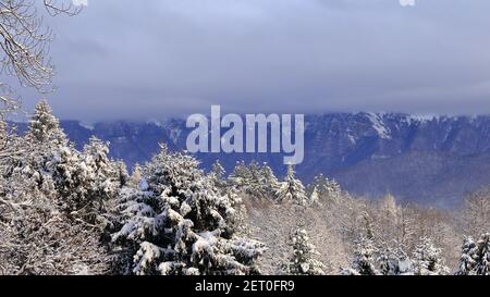 Panorama dans les montagnes après une forte chute de neige Banque D'Images