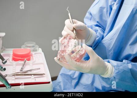 dentiste avec dent en main et mâchoire dans l'autre. Banque D'Images