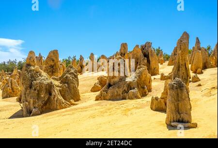 Pinnacles Desert a traversé des piliers de calcaire attraction touristique populaire dans le parc national de Nambung à 200 km au nord de Perth Australie occidentale. Banque D'Images