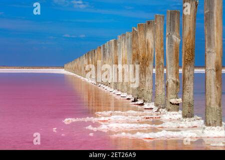 Incroyable couleur rose véritable sel lac et ciel bleu profond paysage naturel minimaliste, Ukraine Voyage arrière-plan Banque D'Images