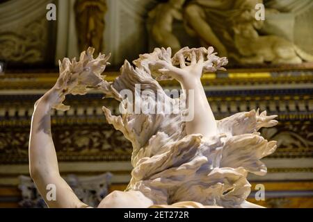 Métamorphose de Daphne, détail d'Apollon et Daphne sculpture mains, Gian Lorenzo Bernini, Galleria Borghese Museum, Villa Borghese, Rome, Italie Banque D'Images