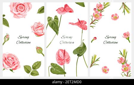 Collection de fonds verticaux de printemps pour les réseaux sociaux avec place pour le texte. Illustration de Vecteur