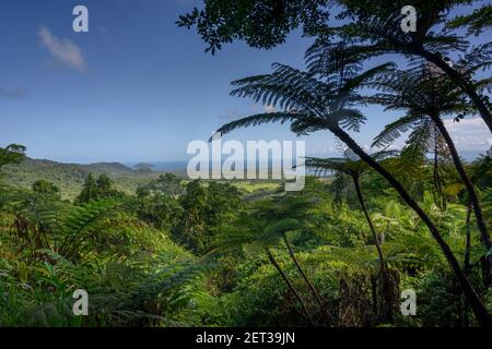 Vue panoramique sur le paysage, belvédère de Walu Wugirra, Kimberley, Queensland, Australie Banque D'Images