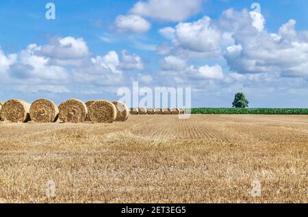 Des haystacks en Bretagne France Banque D'Images