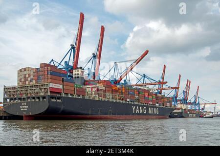 Hambourg, Allemagne - 09/08/2019: Les navires à conteneurs YM Witness et NYK Remus sont situés dans le terminal à conteneurs Altenwerder du port de Hambourg, en allemand Banque D'Images