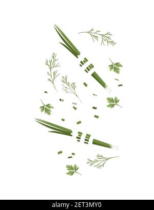 Tranches de légumes avec oignon vert et herbes de couleur icônes alimentaires illustration vectorielle pour la cuisson isolée sur fond blanc Illustration de Vecteur