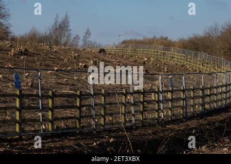 Wendover, Royaume-Uni. 28 février 2021. Une zone dégagée d'arbres et de sous-végétation le long de Small Dean Lane qui est actuellement défriché pour la liaison ferroviaire haute vitesse HS2. Les militants anti-HS2 continuent d'occuper le camp de résistance actif de Wendover, de l'autre côté de la ligne ferroviaire de la forêt. Crédit : Mark Kerrison/Alamy Live News Banque D'Images