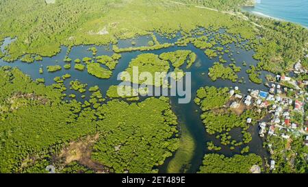 Village près de mangroves dans la baie de l'océan, vue d'en haut. Siargao island, Philippines. Banque D'Images