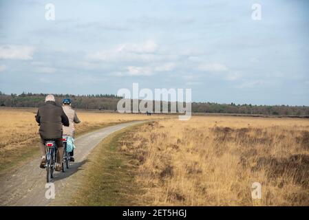 Cyclistes à Dwingelderveld à Drente, Hollande Banque D'Images