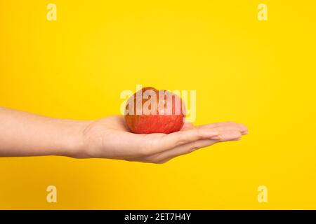 Une main femelle tient une pomme pourrie avec un ver sur fond jaune. Produits périmés. Banque D'Images