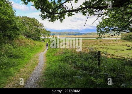 Réserve naturelle RSPB à Ynys-hir, Eglyws-fach, Machynlleth, pays de Galles, Royaume-Uni Banque D'Images
