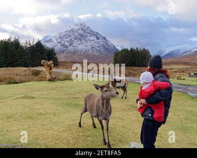 Une mère tenant un bébé et regardant un cerf à l'hôtel Kings House à Glencoe en Écosse, avec le sommet de Buchaille Etive Mor au-delà Banque D'Images