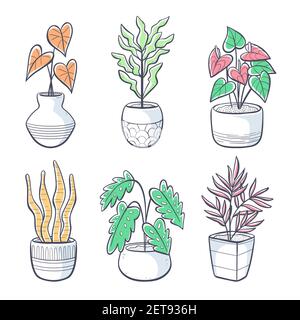 Collection de plantes de maison dessinées à la main isolées sur fond blanc. Ensemble de plantes décoratives d'intérieur et de bureau en pot. Illustration vectorielle avec une splas Illustration de Vecteur