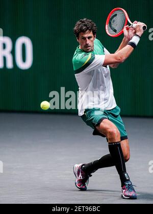 Rotterdam, pays-Bas. 1er mars 2021. ROTTERDAM, PAYS-BAS - 1ER MARS : Robin Haase des pays-Bas lors du 48e tournoi de tennis mondial ABN AMRO à Rotterdam Ahoy le 1er mars 2021 à Rotterdam, pays-Bas (photo de Henk Seppen/Orange Pictures) crédit : Orange pics BV/Alay Live News Banque D'Images