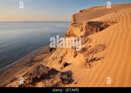 Rubjerg errant dune de sable et les falaises de grès à la Rubjerg Knude FYR entre Lønstrup et Løkken, Danemark; Lønstrup Klint; Danmark Banque D'Images