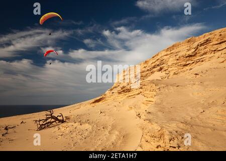 Parapente à la falaise de Rubjerg, Rubjerg Klint entre Lønstrup et Løkken sur la côte du Jammerbugt, Danemark Banque D'Images