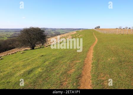 Le sentier pédestre longue distance North Downs Way près de Wye, près d'Ashford, Kent, Royaume-Uni Banque D'Images