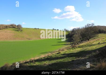 Terres agricoles autour des North Downs, dans le Kent, sous le soleil d'hiver, au Royaume-Uni Banque D'Images