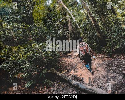 Pauvre homme à la recherche d'orangs-outangs dans les jungles de Sumatra, Indonésie. Banque D'Images