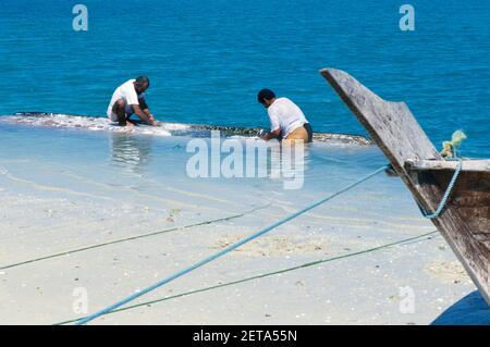 Pêcheurs raclant des barnacles Dubai eau Banque D'Images