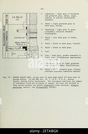 Assemblages de conodontes de Pennsylvanie du comté de la salle, Northern Ill (page 31) Banque D'Images