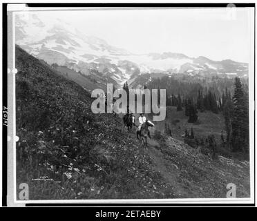 Personnes à cheval, sur la piste, Van Trump Park, Mt. Rainier National Park, Washington) - Curtis & Miller Banque D'Images