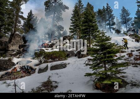 South Lake Tahoe, Californie, États-Unis. 11 février 2021. Un pompier utilise un râteau lorsqu'il se prépare à enflammer une pile lors d'une combustion prescrite au parc Van Sickle Bi-State Park, à South Lake Tahoe, le jeudi 11 février 2021. Crédit : Renée C. Byer/ZUMA Wire/Alay Live News Banque D'Images