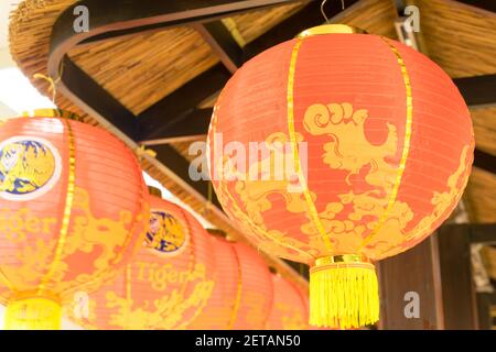 Lanternes rouges accrochées au plafond pour célébrer Festival du printemps chinois Banque D'Images