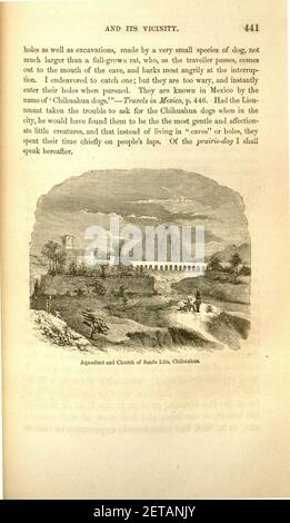 La narration personnelle d'explorations et d'incidents dans le Texas, le Nouveau Mexique, Californie, Sonora, Chihuahua, et connecté avec les États-Unis et la commission de la frontière mexicaine, au cours des années 1850, '51, Banque D'Images