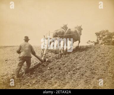 Peter Henry Emerson (britannique, né à Cuba - ''A Stiff pull'' Banque D'Images