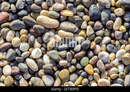 Pebbles à Pebble Beach Banque D'Images