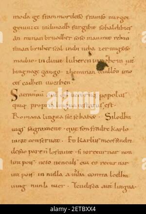 Petit de Julleville - Histoire de la langue et de la littérature française, t. 1, 1896, page 113. Banque D'Images