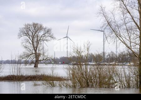 Des arbres stériles d'hiver qui sortent de la rivière de haut niveau L'eau d'IJssel qui a inondé les plaines inondables de moulins à vent électriques durables au fond Banque D'Images