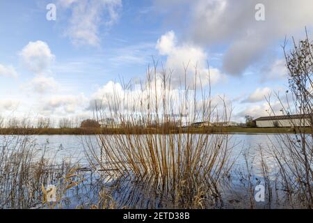 Niveau d'eau élevé avec végétation stérile d'hiver atteignant au-dessus la rivière contre un ciel bleu avec des nuages Banque D'Images