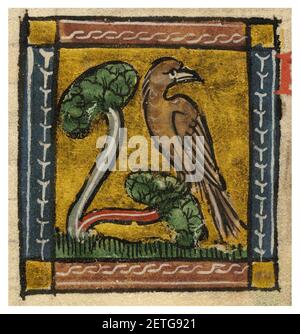 Philomena (nightingale) - Der naturen bloeme - Jacob van Maerlant - KB KA 16 - 099r b2. Banque D'Images