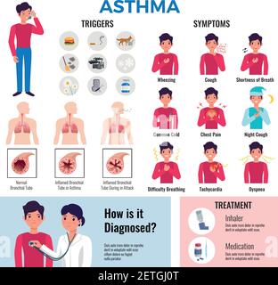 Collection d'éléments graphiques plats pour les maladies chroniques de l'asthme avec symptômes déclencheurs provoque le diagnostic de médicament et l'illustration du vecteur de traitement Illustration de Vecteur