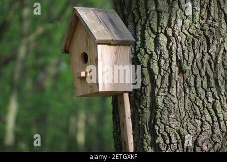 Un mangeoire à oiseaux sous la forme d'une maison avec un toit en bois est suspendu sur un arbre. Soins des oiseaux. Maison en bois gros-up avec copyspace Banque D'Images