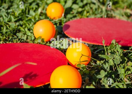 4 boules orange et deux raquettes de tennis de table rouges reposent sur l'herbe verte. Gros plan. Le concept des jeux de sports de plein air Banque D'Images