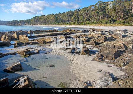 Adventure Bay, Bruny Island Banque D'Images