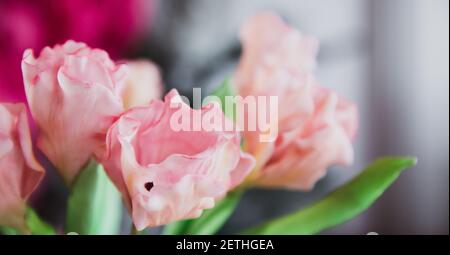 Fleurs roses dans un style doux pour l'arrière-plan. Flou, flou Banque D'Images