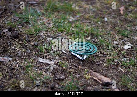 Spirale couveuse des moustiques dans la forêt Banque D'Images