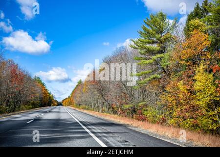 Route sinueuse et colorée du New Hampshire bordée de des érables d'automne rouges et jaunes invitent le voyageur à un un voyage inoubliable Banque D'Images