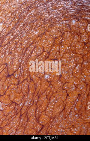 Texture de fond abstraite, acrylique liquide brun avec ajout de paillettes dorées. Banque D'Images