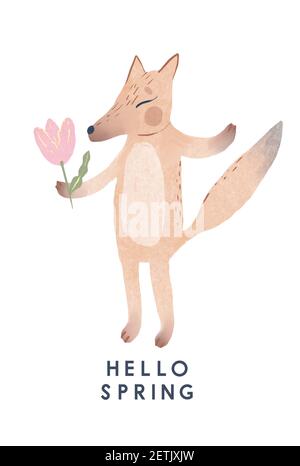 illustration de renards de dessin animé, feuilles, baies, champignons avec message texte de printemps bonjour Banque D'Images