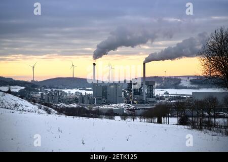 Un bâtiment industriel de traitement du bois se dresse dans un paysage viticole. Dans le froid, les cheminées fument. Banque D'Images