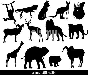 Ensemble de silhouettes d'animaux sauvages, zoo. Illustration de Vecteur